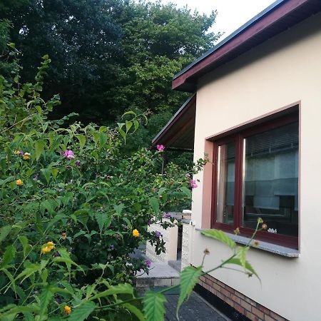 Ferienhaus Am Wald Loissin エクステリア 写真
