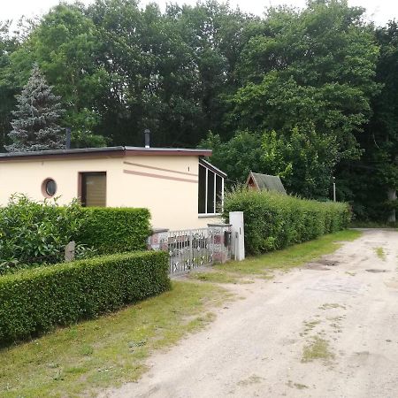 Ferienhaus Am Wald Loissin エクステリア 写真