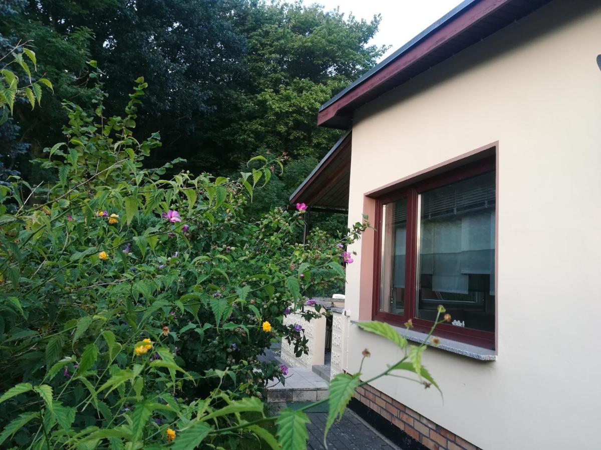 Ferienhaus Am Wald Loissin エクステリア 写真