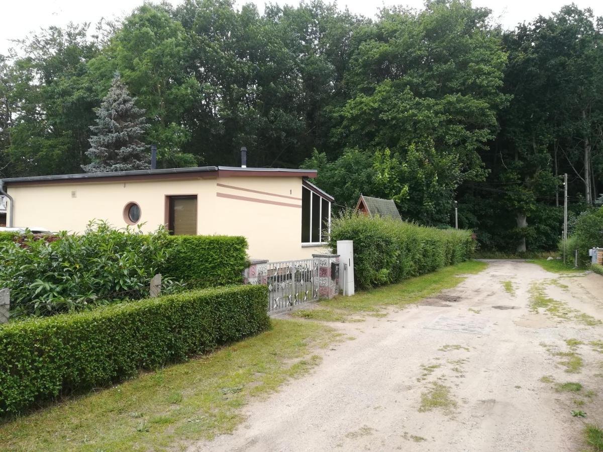 Ferienhaus Am Wald Loissin エクステリア 写真